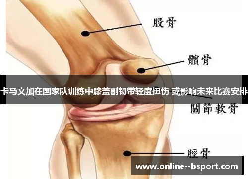 卡马文加在国家队训练中膝盖副韧带轻度扭伤 或影响未来比赛安排